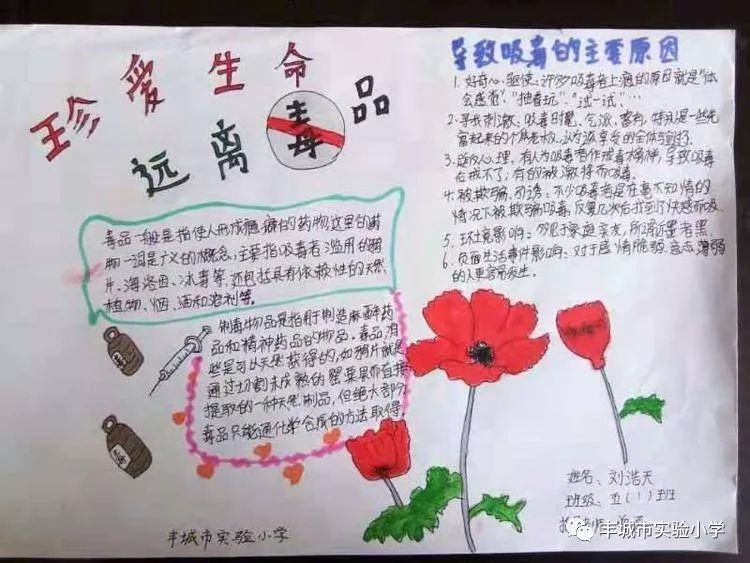远离毒品,健康你我他. 实验小学禁毒知识教育活动