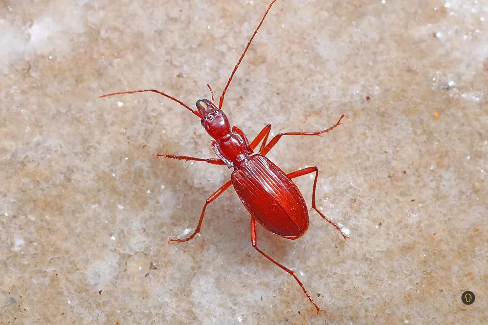 要放暑假啦您家娃的出行日程安排了吗