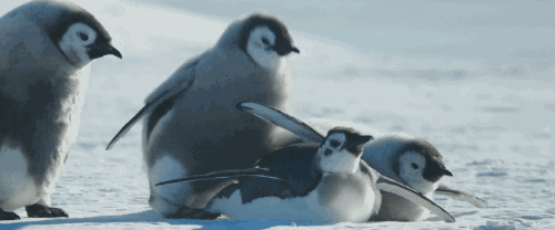 500_208gif 动态图 动图