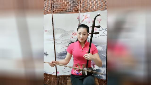 美女二胡独奏偷功