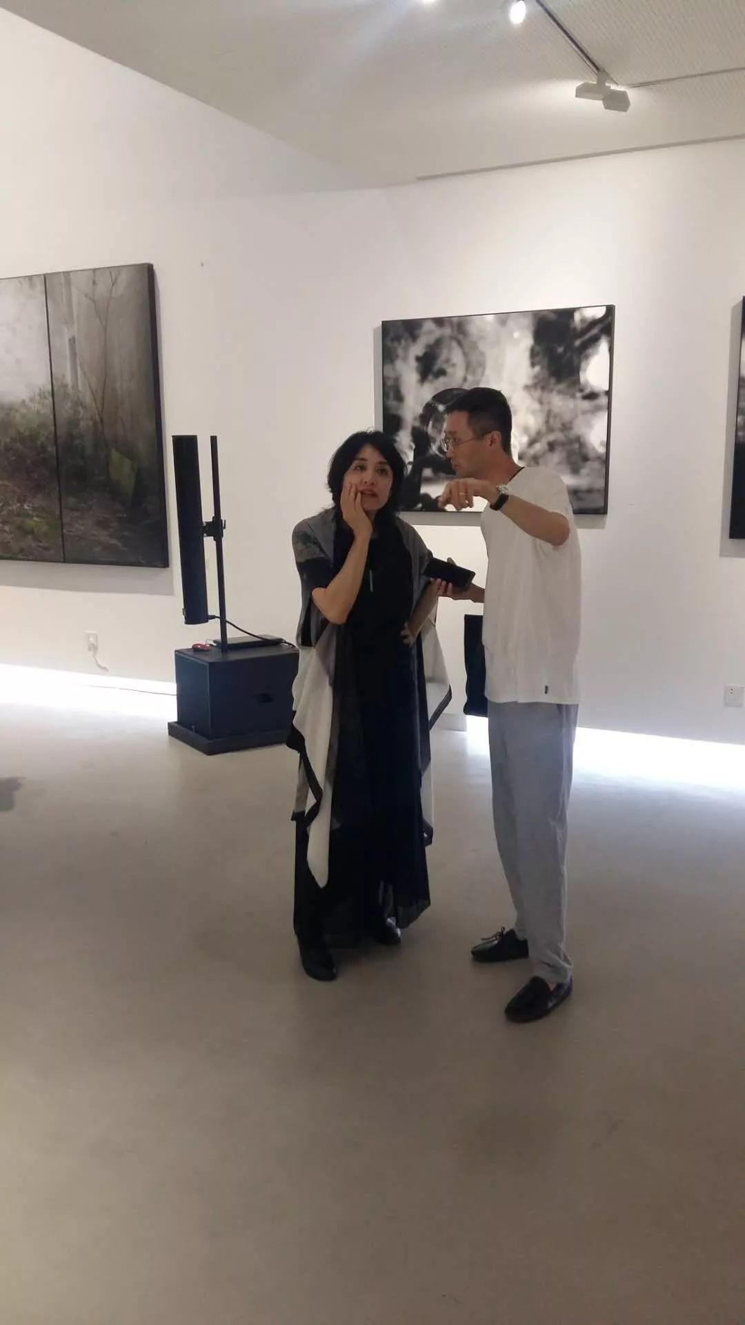 我的摄影是我对世界的疑问和思考_翟永明