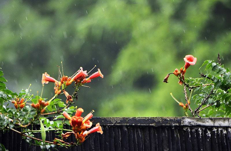 梅雨季节应该开窗还是关窗