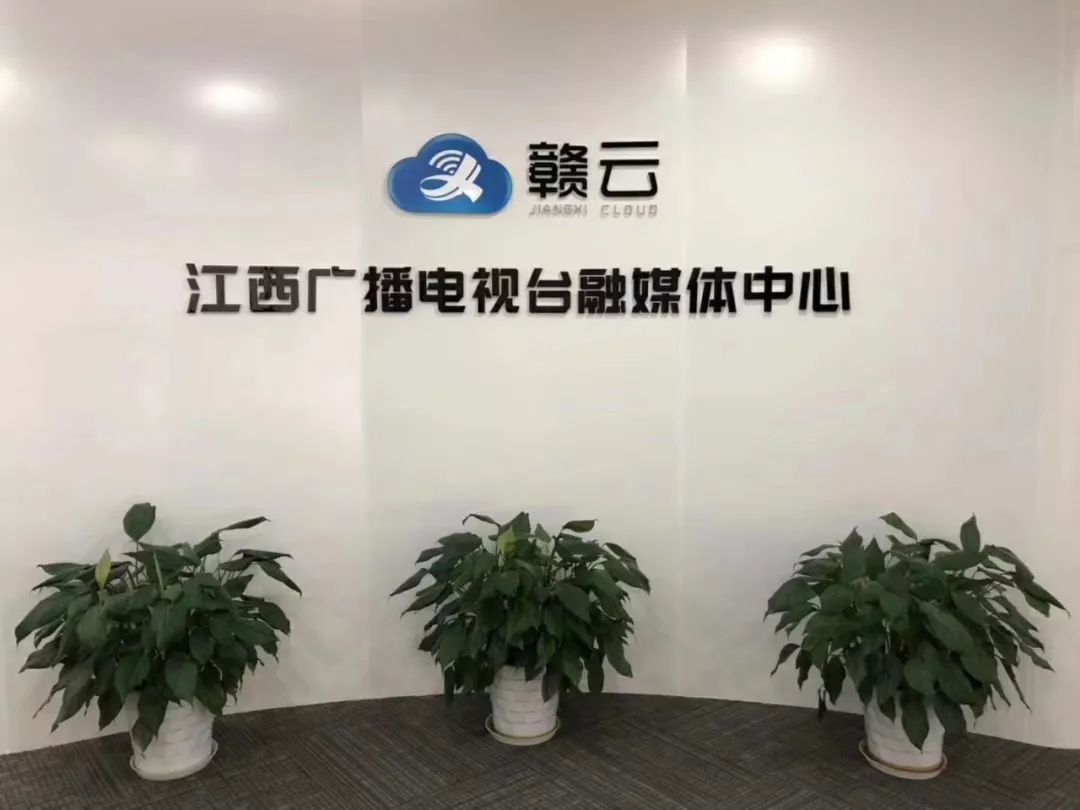 今天的主角是他他他!