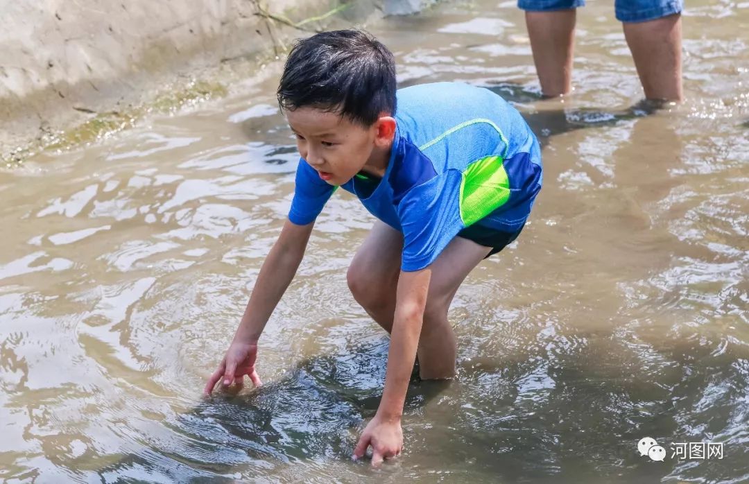 快乐摸鱼漂亮荷花妹妹送花明天起洛阳这里超好玩