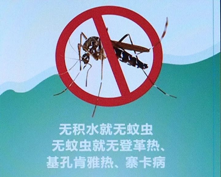 健康大沥 | 清除家居环境积水,防蚊灭蚊预防登革热_白纹