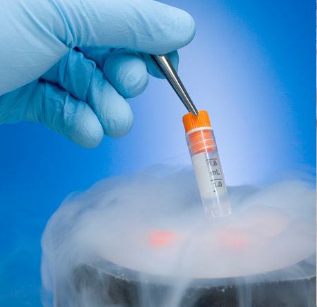 细胞储存 有远见的投资及时存储健康的细胞是未来健康的重要保障,是有