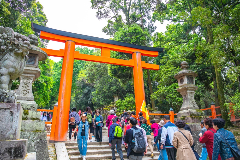 日本之旅,一定不能错过的世界遗产:春日大社,树深时见鹿 日本之旅,一定不能错过的世界遗产:春日大社,树深时见鹿