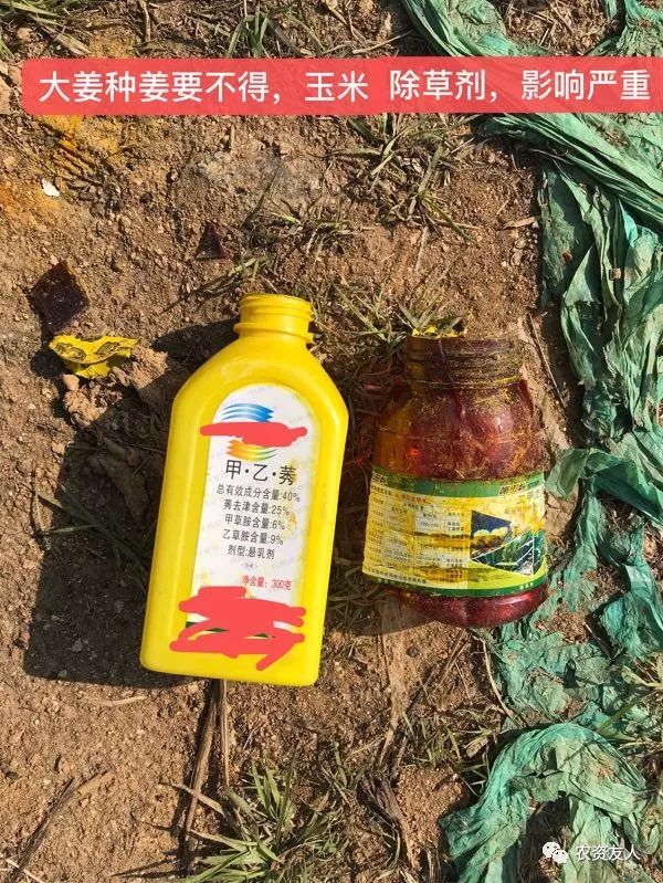 除草剂打不死草的原因?