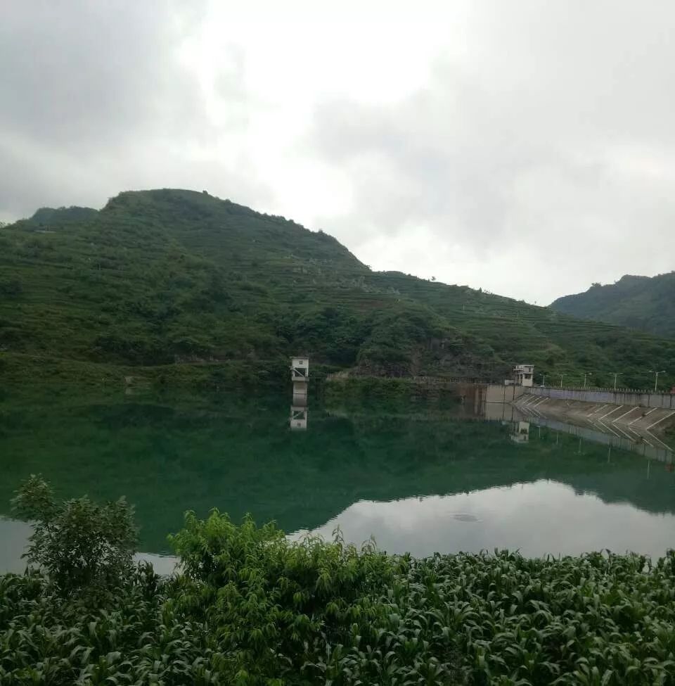 镇隆山顶水库图片