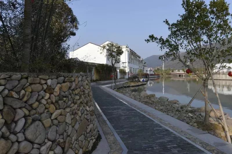 鳌江最美村,最脏村名单!附村干部名字