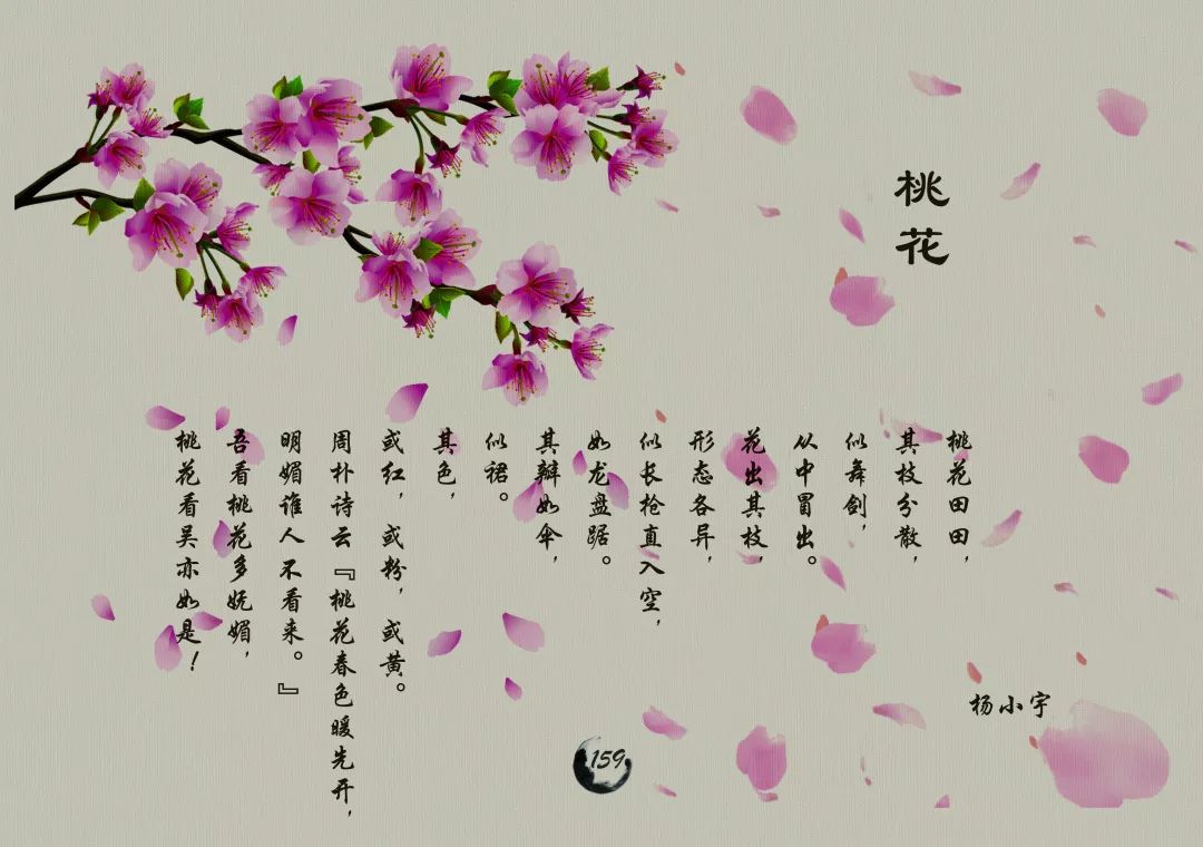 童韵小古文之我的教材我做主济南市博文小学2016级4班古文之风再度