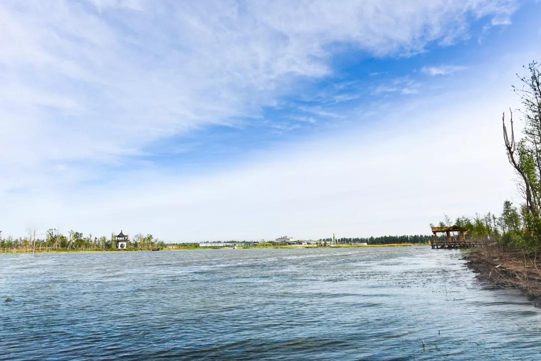 遇见凤湖之夏我在肥乡等着你