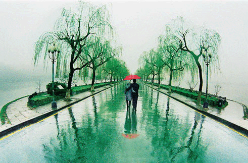 赏诗会(200)雨季更想你