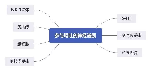 再来看下癌症患者恶心呕吐的机制:化疗药物及其代谢产物刺激胃和近段