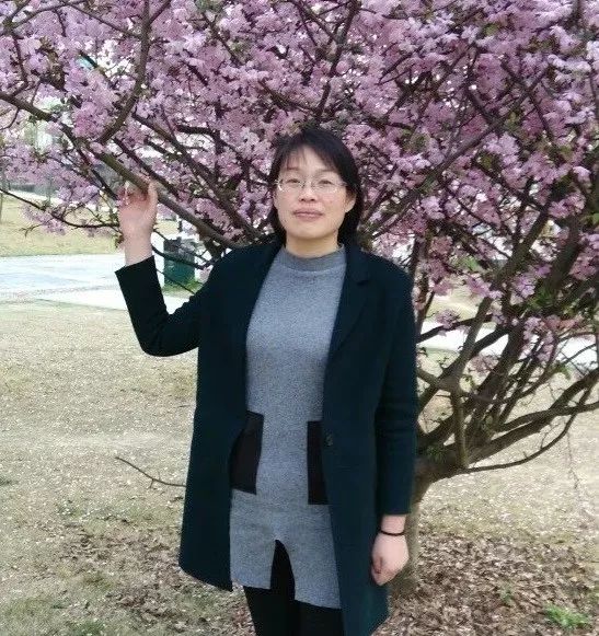 郑丹村庄老了