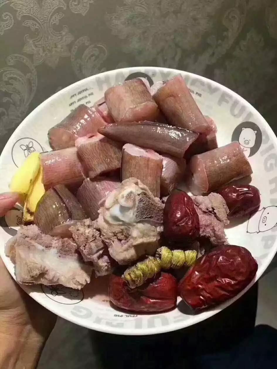 土龙不是龙，但可是好东西！这些年来真正野生的土龙有时那是重金难求_鳗鱼