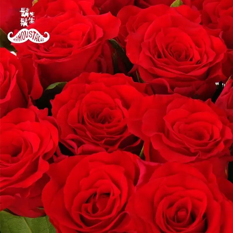 拼团进口方德珍爱红玫瑰低至339元啦