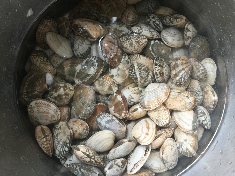 原创这种廉价的小贝壳在海边到处都是,最简单的做法秒变好吃的下酒菜
