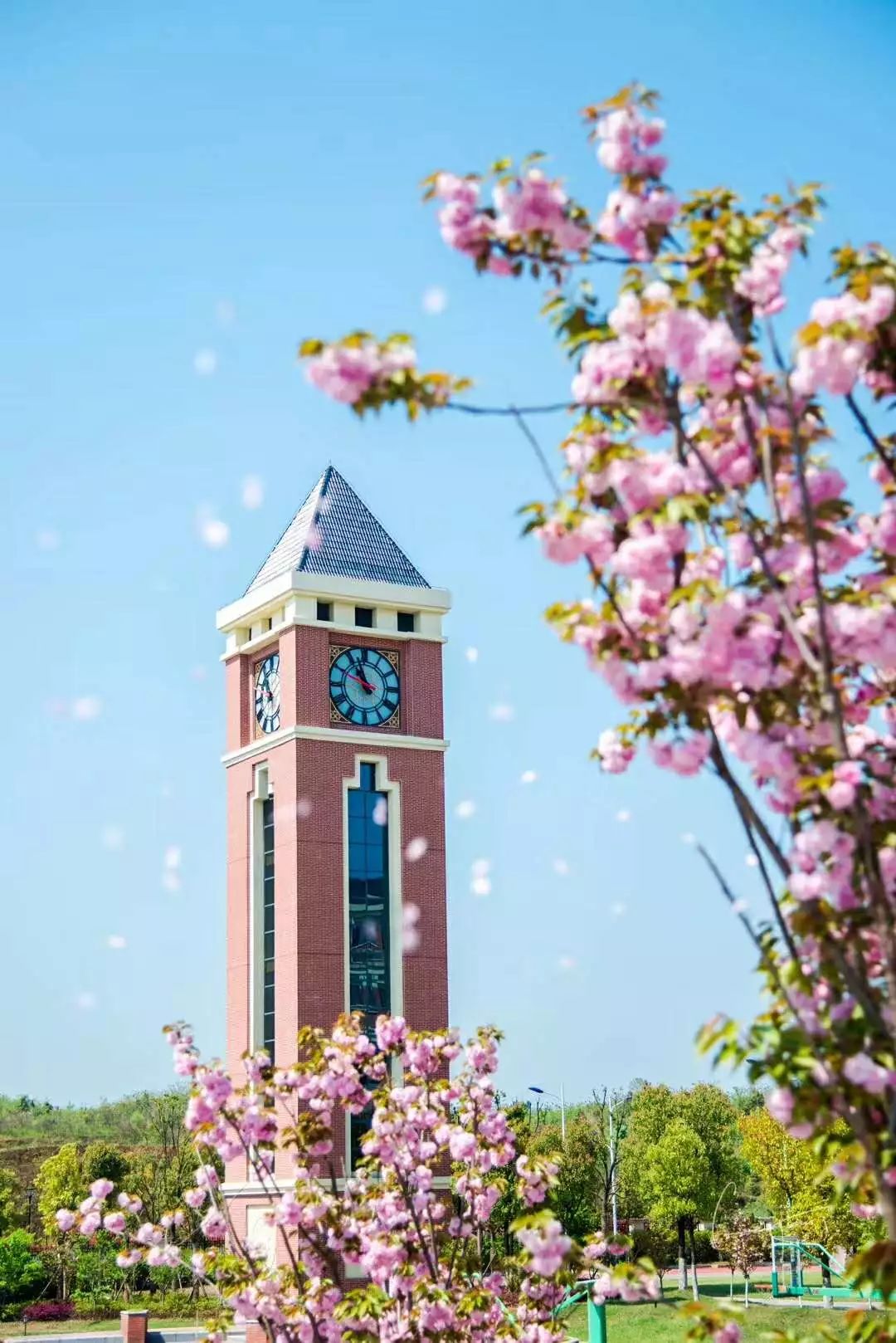 读夷陵中学上湖南卫视时光与你都很甜正式在夷陵中学开拍啦