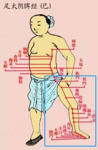 人的小腿内侧,都藏着一个大秘密!每晚拍10分钟