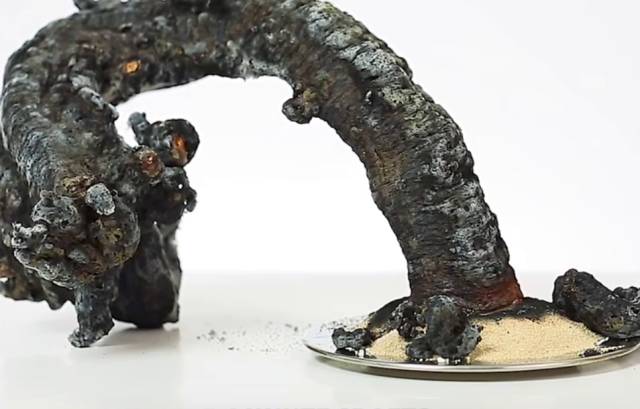 科学实验黑色火蛇