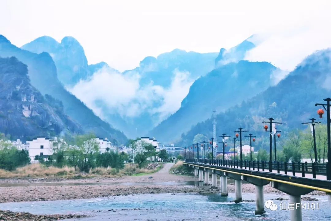 除此外,当下全域旅游发展,也给了淡竹好的发展机会.