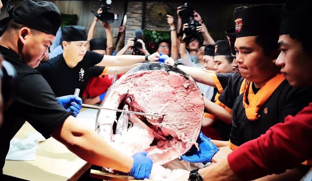 活动预告万岁寿司亮相必吃榜快闪街500斤金枪鱼开膛秀