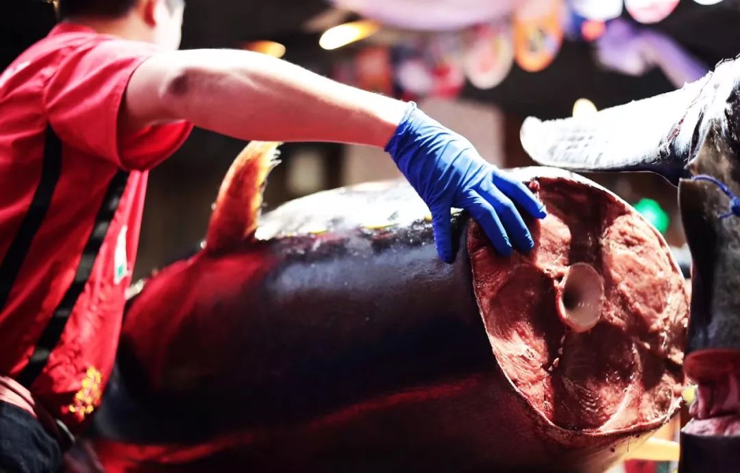 活动预告万岁寿司亮相必吃榜快闪街500斤金枪鱼开膛秀