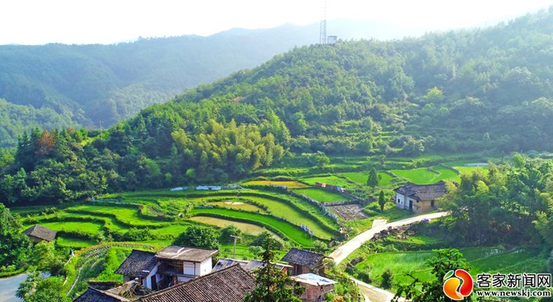 6月26日,雨后的赣县区大埠乡坪田村绿树成荫,翠田如玉,构成一幅绿色