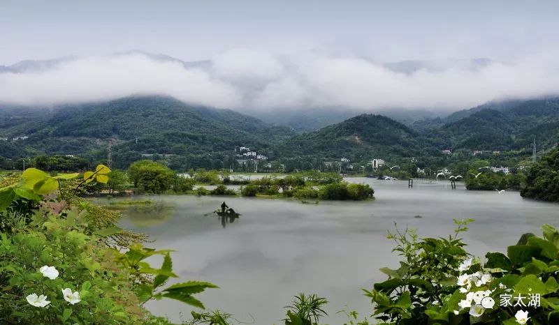美翻了,花亭湖!大太湖又火了!