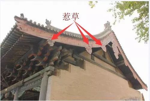 知行学思 | “悬鱼”和“惹草”——屋顶上的风景_府丞