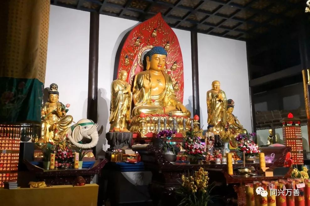 【兴善寺】西晋古刹,应缘重生,繁华洗尽,九九归真!