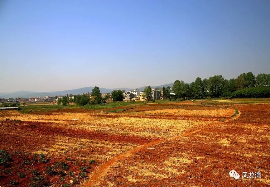 第427期张家村寻甸百年老地名故事之四