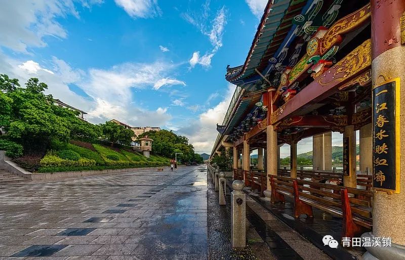 下一步温溪镇计划总投资2800万继续对江北区块沿瓯江段进行整体绿化