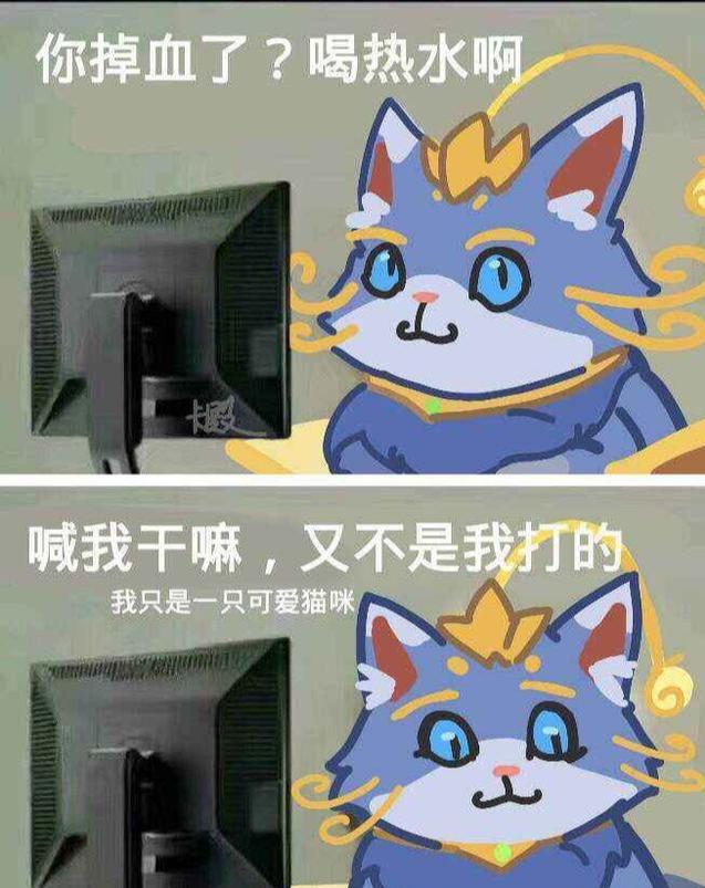 愣是把这个英雄玩成了和"快乐风男"一样的"快乐猫咪",表情包也因此火