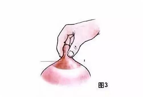 金牌月嫂必看催乳最有用的按摩手法轻松6步为宝妈解决下奶烦恼