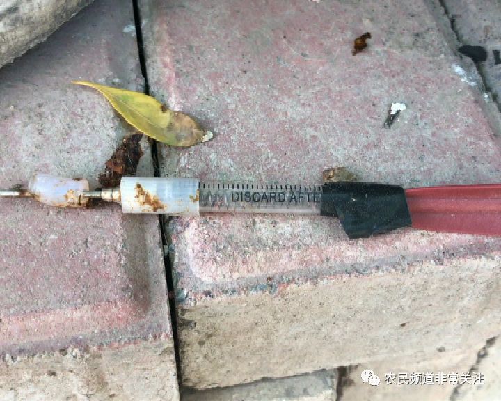 全村村民晚上轮流值班:因为有人半夜用"毒针"偷狗.