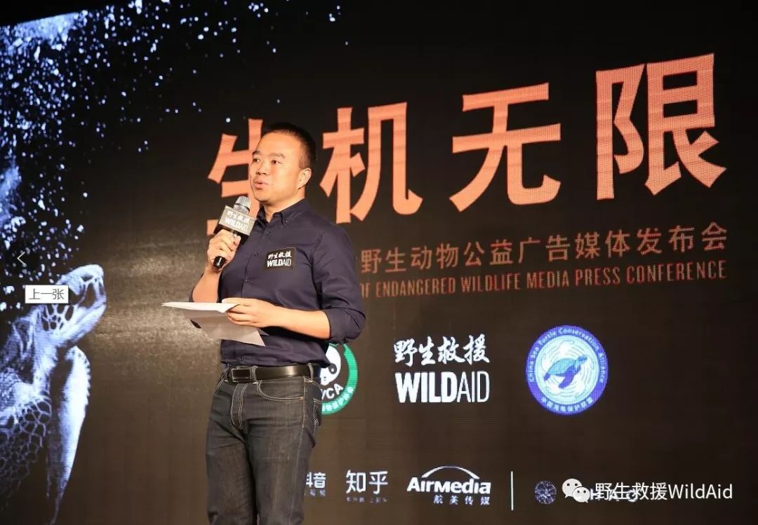 野生救援携手周杰伦保护濒危物种集结再出发