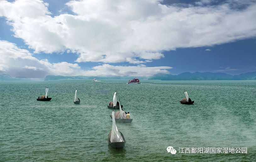 党在我心中永远跟党走鄱阳湖湿地文化体验之旅