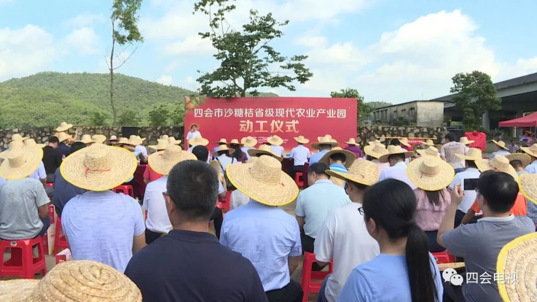 桔子归来四会市沙糖桔省级现代农业产业园动工桔子小镇也将面世