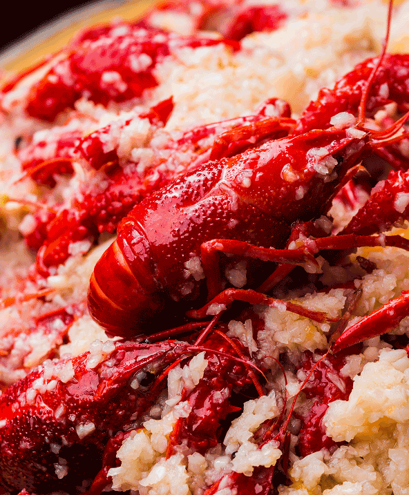 88元抢3斤789钱大龙虾套餐!花甲肉串凉菜全都有!