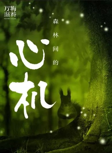 纪录片推荐万物滋养站在大自然的视角看人类