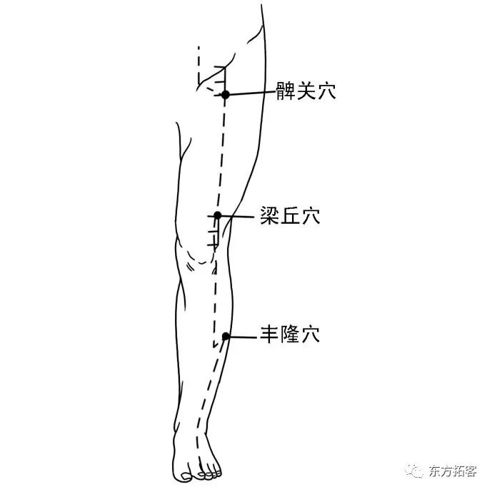 髀骨的准确位置图片图片