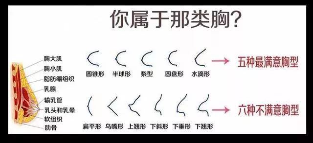 【涨点知识】做完自体脂肪丰胸后,捏起来是什么感觉?_乳房