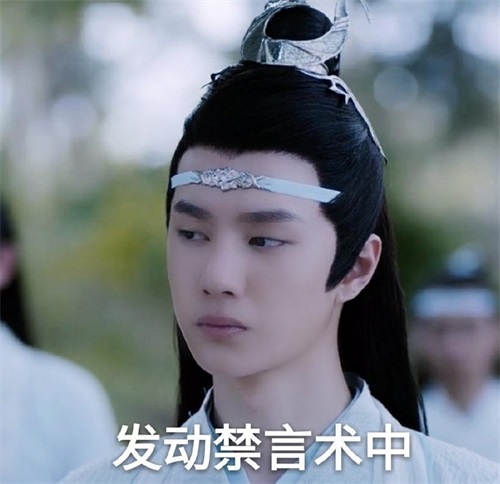 原创陈情令群主蓝忘机上线神奇禁言术引起热议