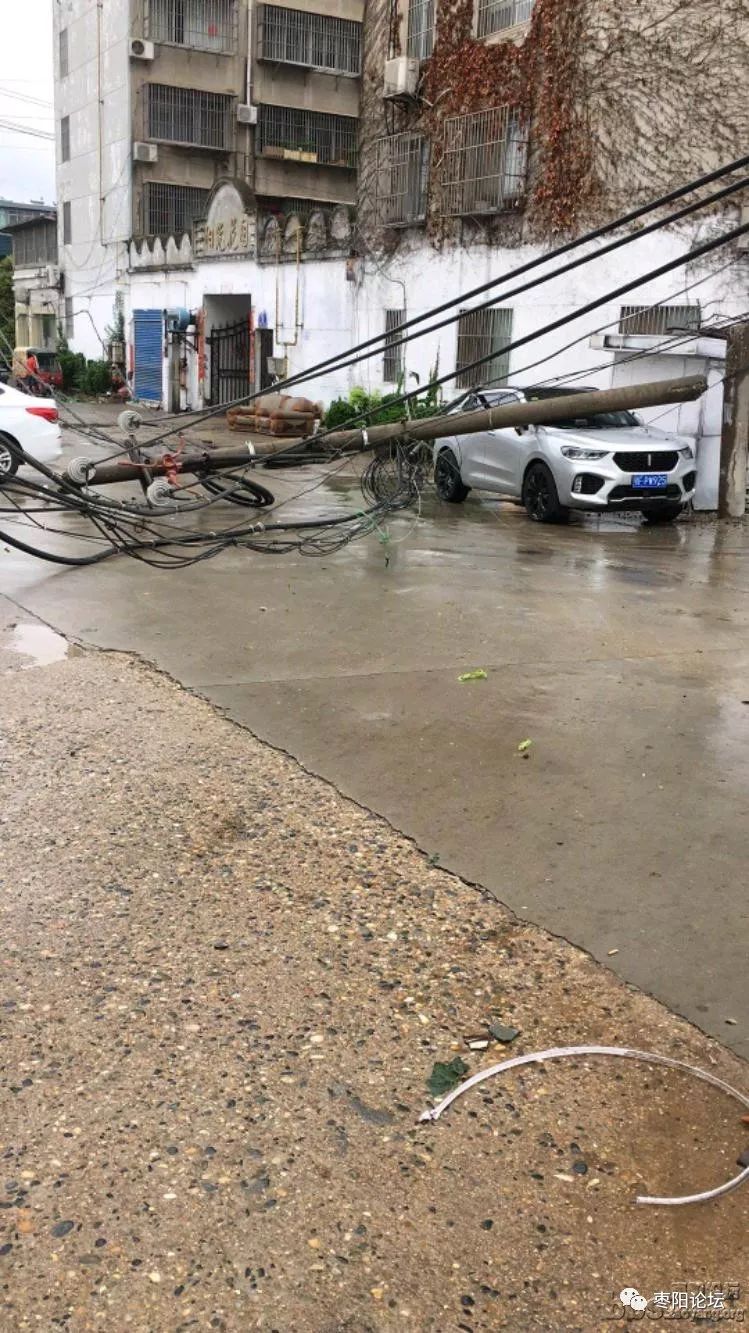 【枣阳城事】①暴雨造成围墙坍塌,电线杆砸坏小车!