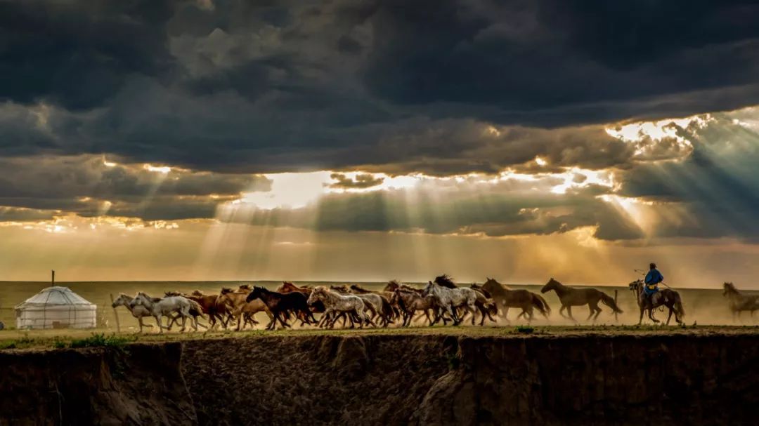 宋启民《雪域风情》 作者:宋启民《蒙古马》 作者:赵志强《烈马追风》