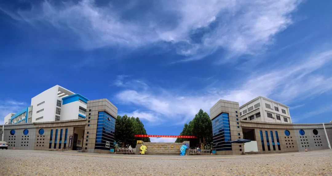 视频访谈丨黄河科技学院艺术类录取有新政策听听创办人怎么说