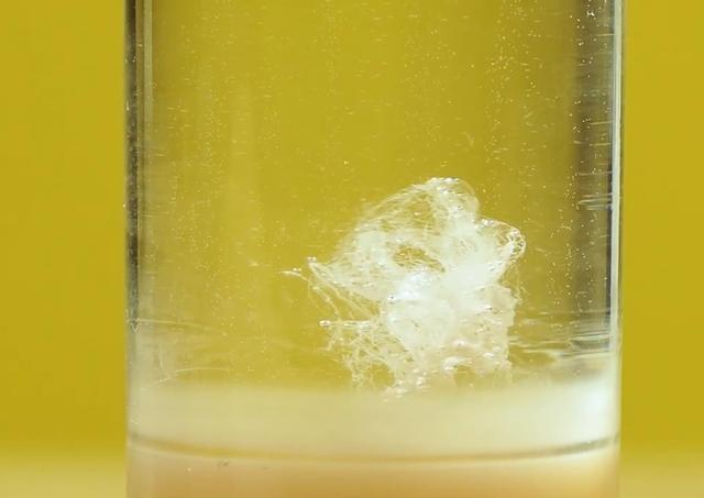 如何自己动手在家提取dna