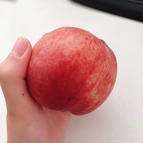 宝坻八台港紫垛子蜜桃上线预售啦果农精挑细选更加脆甜